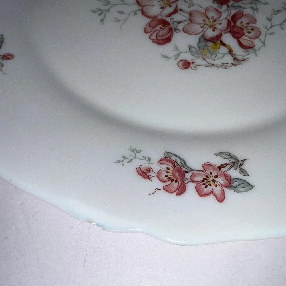 Lot 5 Vintage Arcopal France Florentine Cherry Blossom 10